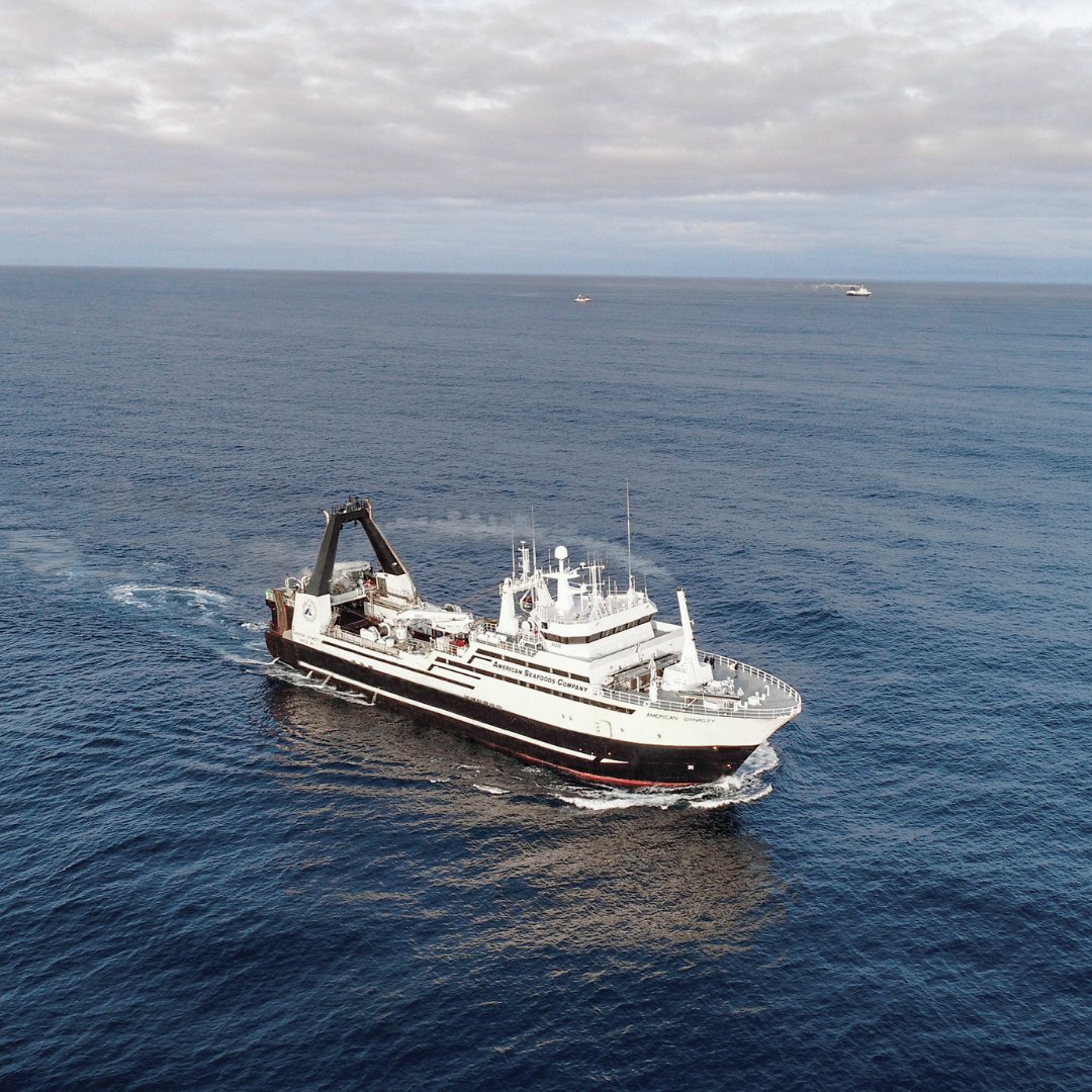 AmerSeafoods's tweet photo. Happy World Oceans Day! 🌊💙 Today, let's celebrate and protect the incredible wonders of our oceans. Choose Wild Alaska Pollock to support sustainable fishing practices and together we can make waves for a healthier and more sustainable marine world. 🌎🐠 
#WorldOceansDay https://t.co/YeHqUJFFJJ