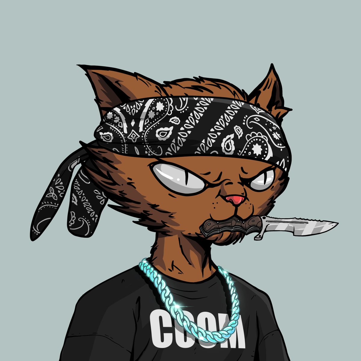 Qonfuzed's tweet photo. @Blockchainwork5 @CoomCatsNFT #coomunity https://t.co/yQQCyyd2K1