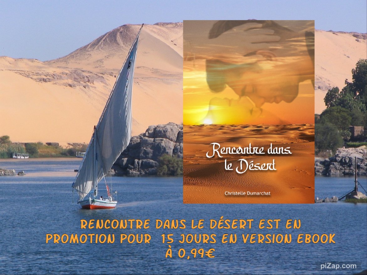 DumarchatC's tweet photo. Petite promotion à partir de demain https://t.co/N5c60gbzFR
