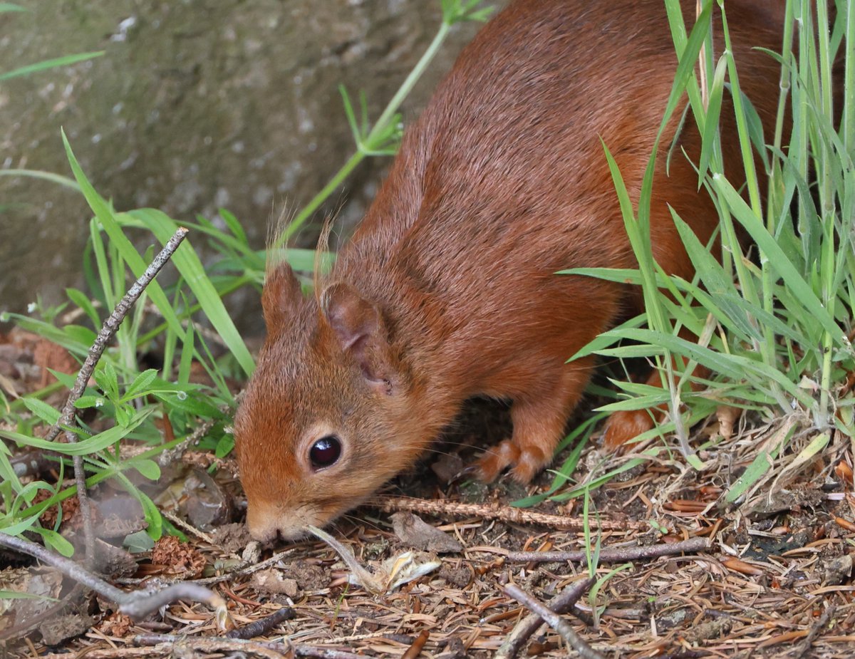 Simon Pinder tweet media