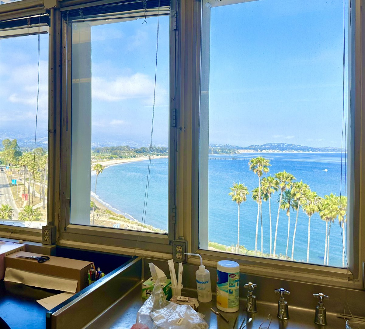 George Schaible tweet media