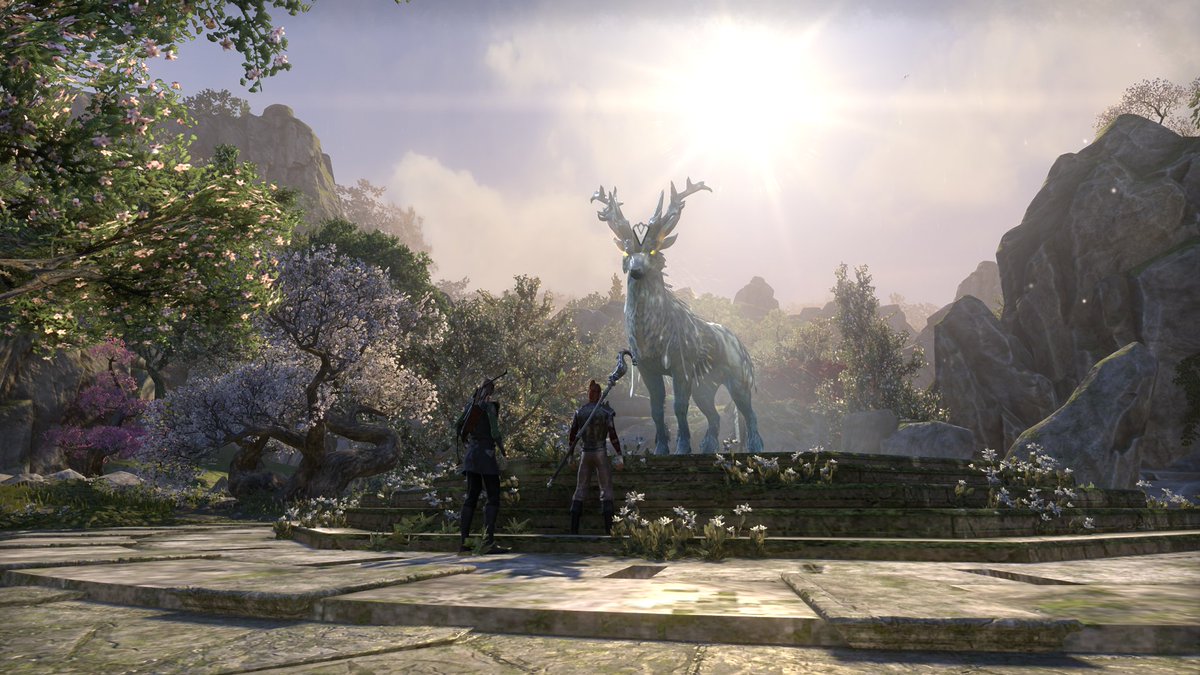 Can I pet that dog? #ElderScrollsOnline #ESO #TESO #ElderScrolls #GoldRoad
