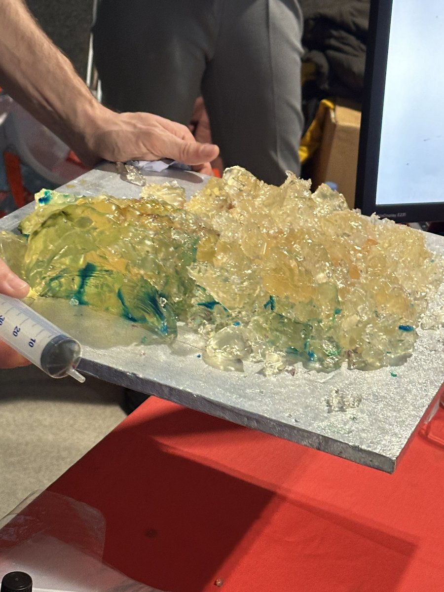 Aline Miller tweet media