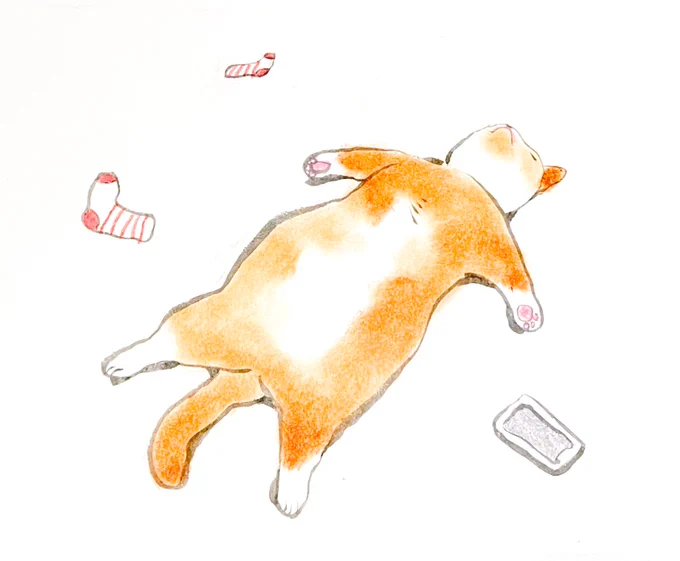 これでも頑張ってる 