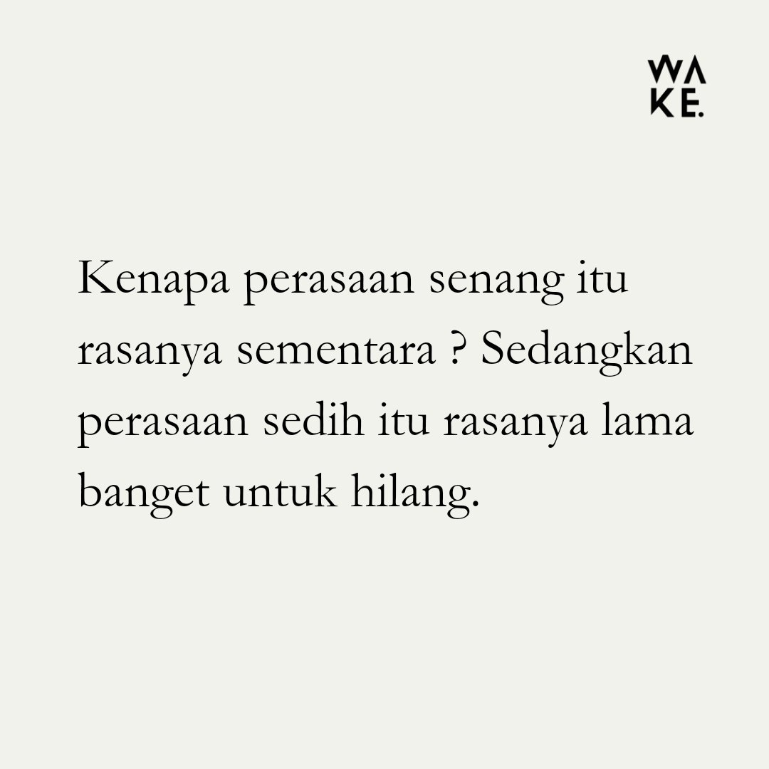 Wake Studio tweet media