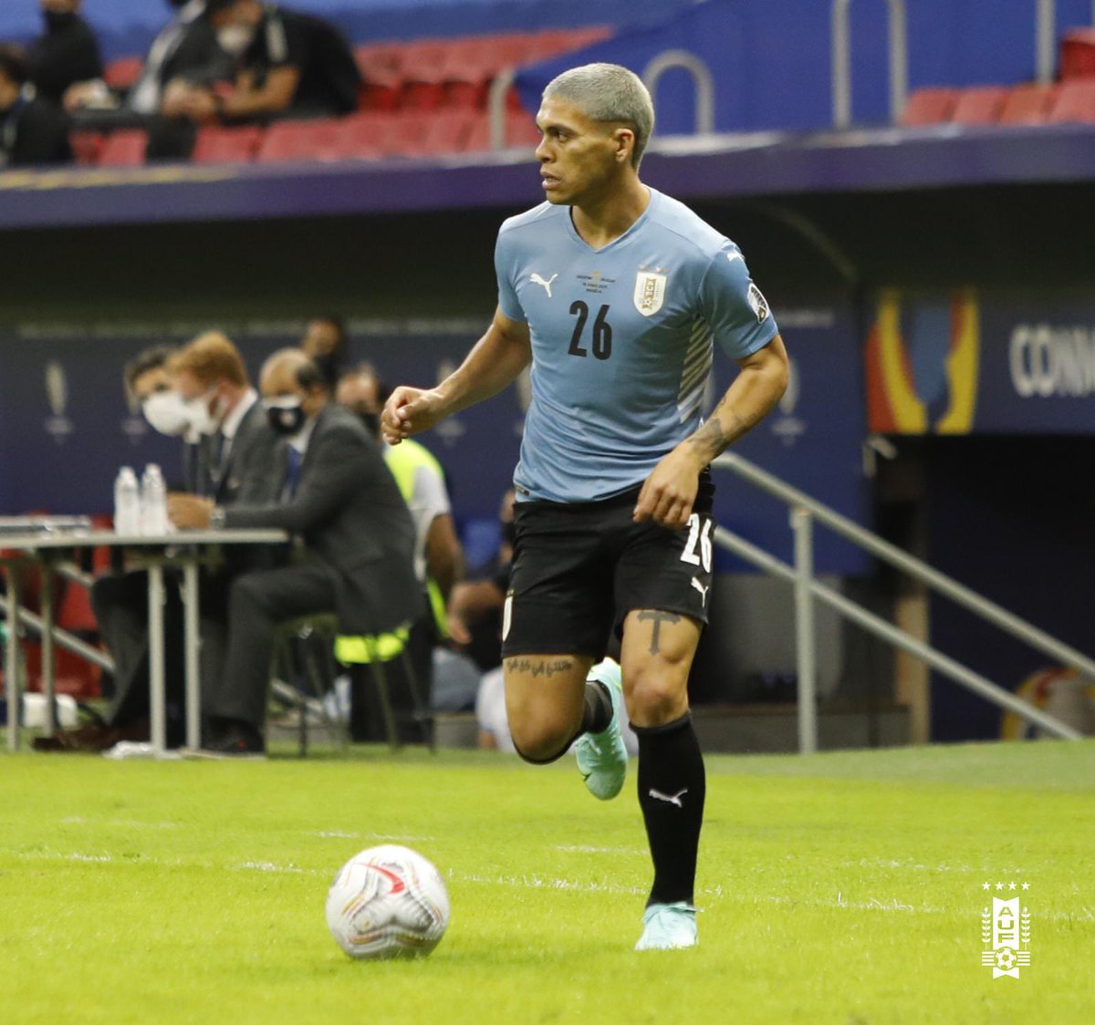 Mateo Cortés tweet media