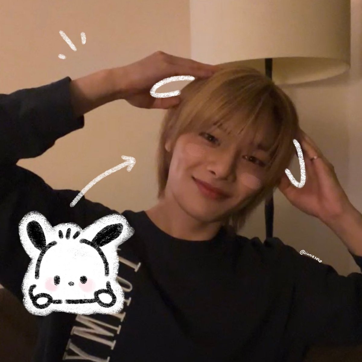 innieselca's tweet photo. innie pochacco ?!!! https://t.co/bxEM0R5aE0
