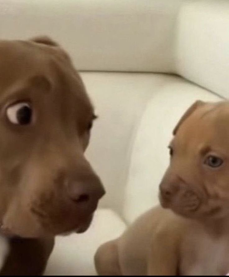 𝓢𝓶𝓸𝓵 𝓞𝓽𝓪𝓴𝓾 (@bluegxxk) on Twitter photo 