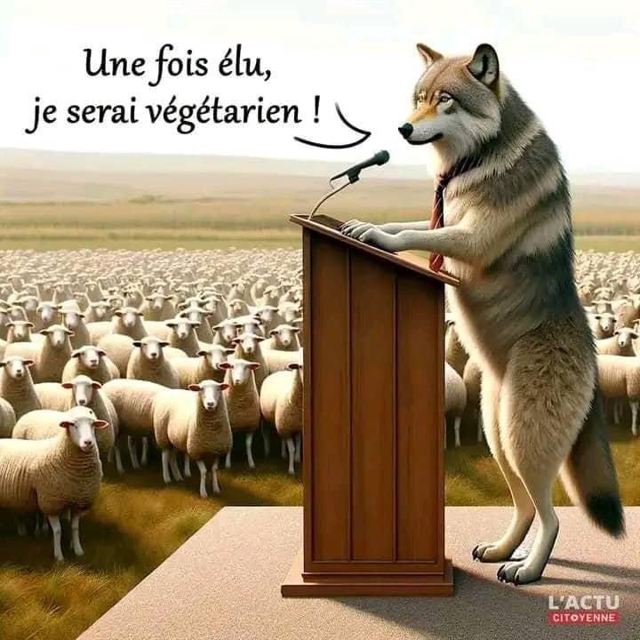 Le dictateur rwandais #Kagame dirait: "Une fois élu, je resterai un loup" et les moutons applaudiraient...

La réalité d’election  présidentielle au Rwanda .