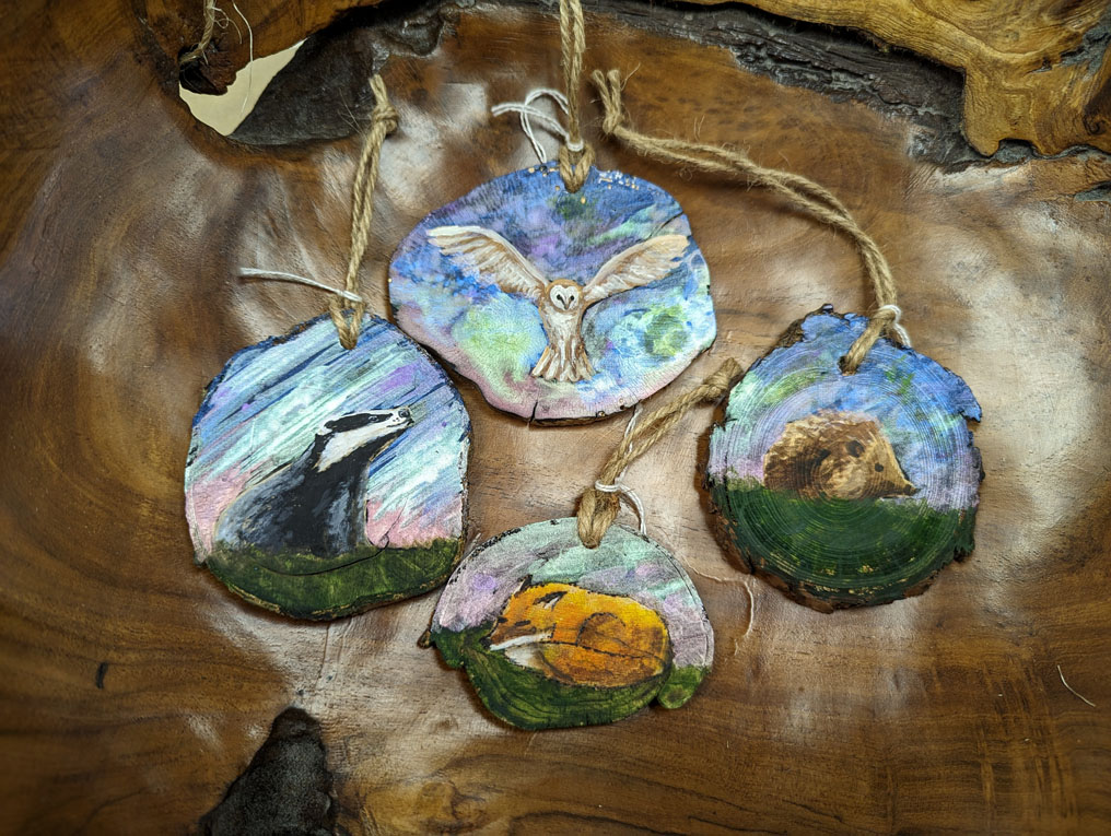 Ever imagine what nocturnal animals get up to during the aurora borealis? Timber Treasures artist James has painted how he imagines they react to the phenomenon.

#auroraborealisuk #auroraborealisanimals #barnowl #barnowlart #badger #badgerart #hedgehog #hedgehogart #fox #foxart