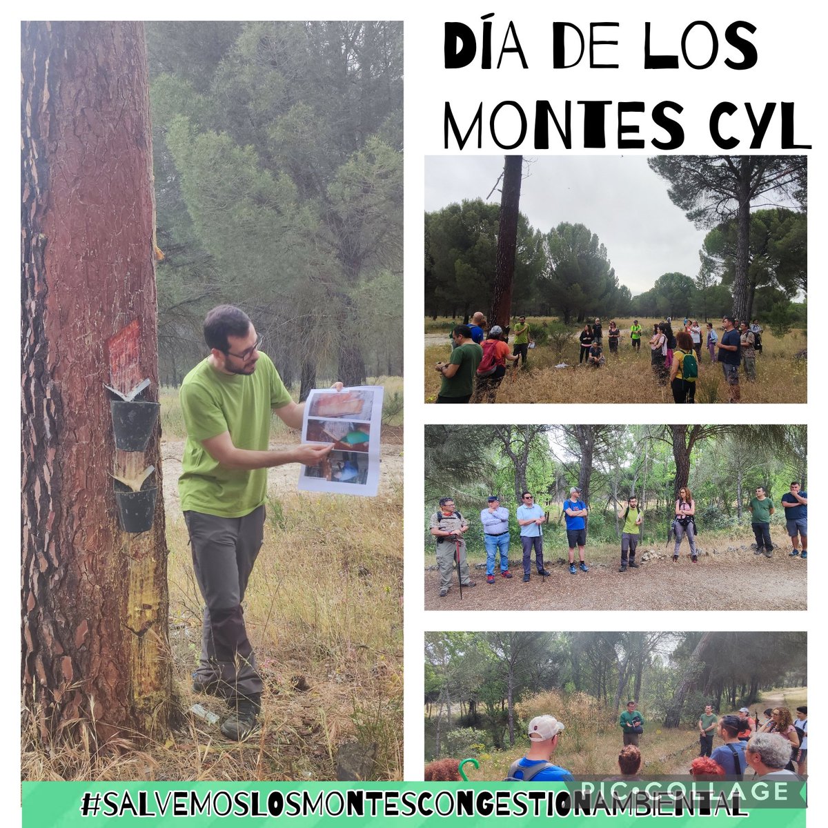 msmsmsmsmsm10's tweet photo. @angelrm80 Para celebrar el #díadelosMontes en #vianadecega y gracias a @IngMontesCyL y @angelrm80 por las explicaciones tan interesantes que nos han dado en esta mañana https://t.co/Alj141gXVB
