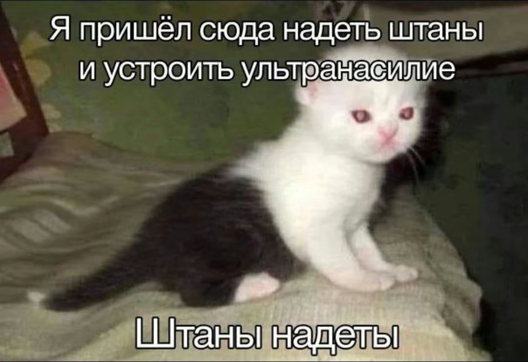 L64th's tweet photo. Смотрим Future Games Show
Джефф, Влад, Я
https://t.co/CmNHwb79HZ https://t.co/a4jUMWl7Ii