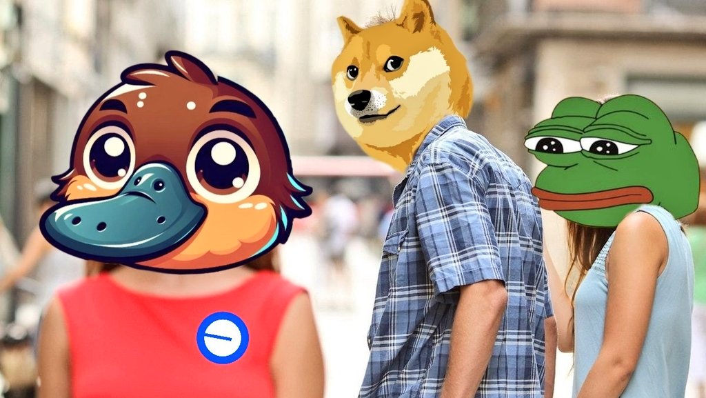 Connix.Cro tweet media