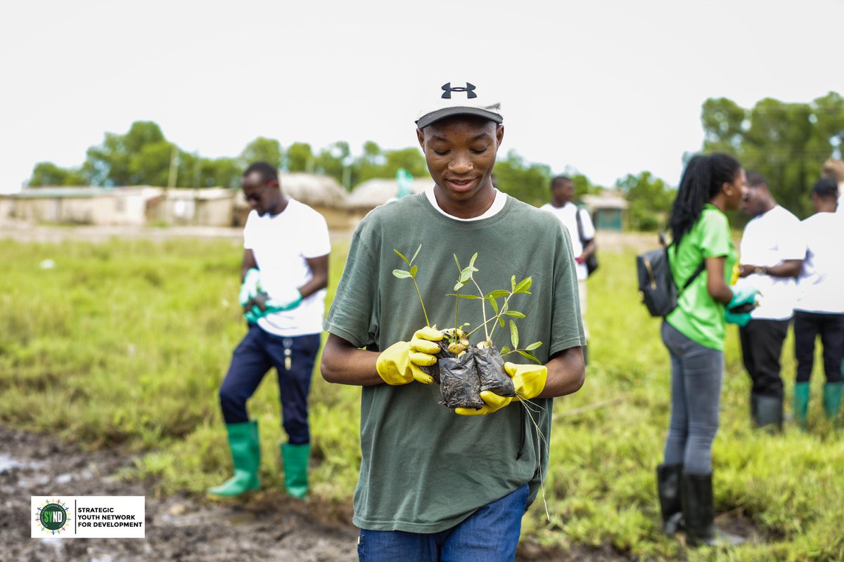 SYNDGhana's tweet photo. 2/2 Letβs work together for a greener planet! πΏ
#GreenGhanaDay #LetsGoPlanting https://t.co/3Rkx48Um1z