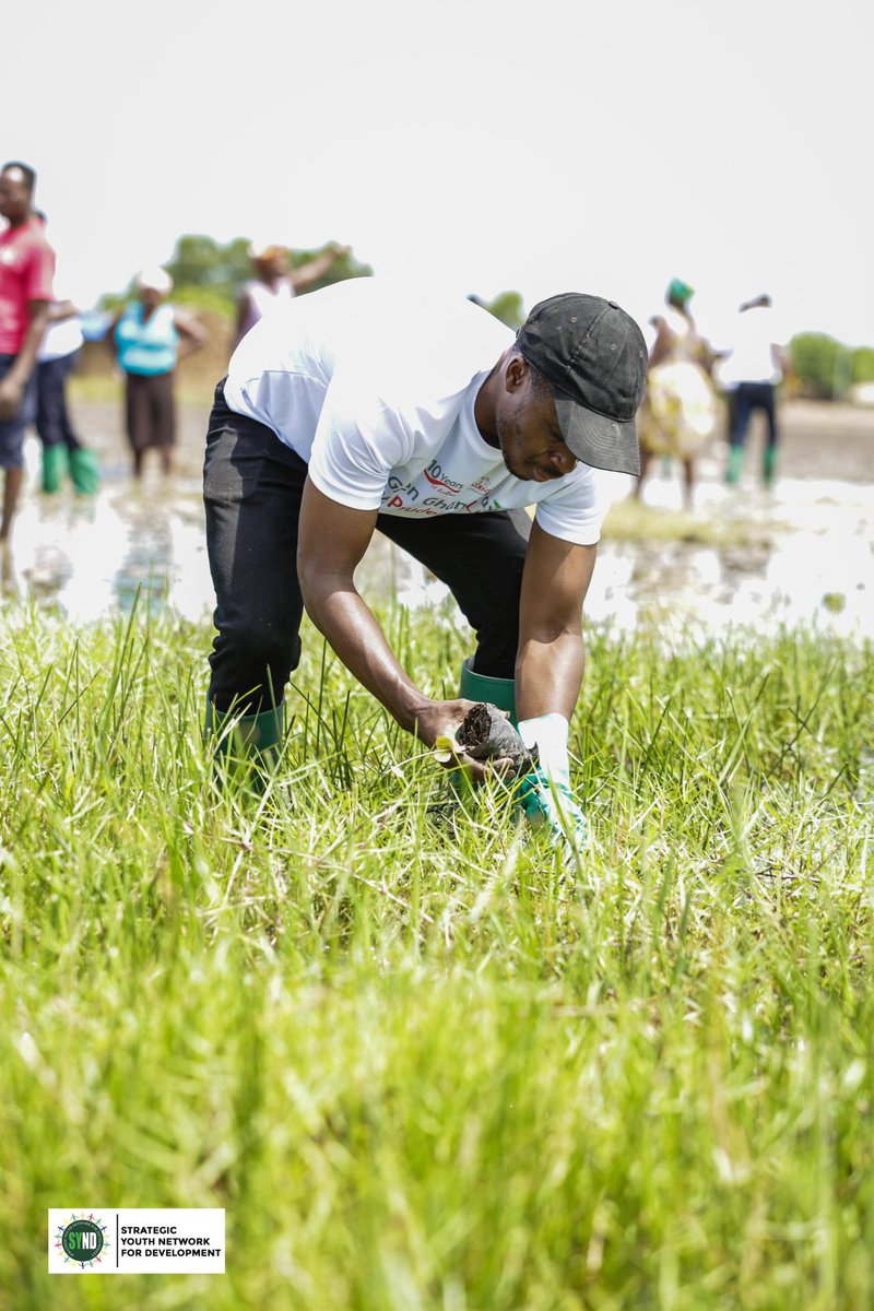 SYNDGhana's tweet photo. 2/2 Letβs work together for a greener planet! πΏ
#GreenGhanaDay #LetsGoPlanting https://t.co/3Rkx48Um1z