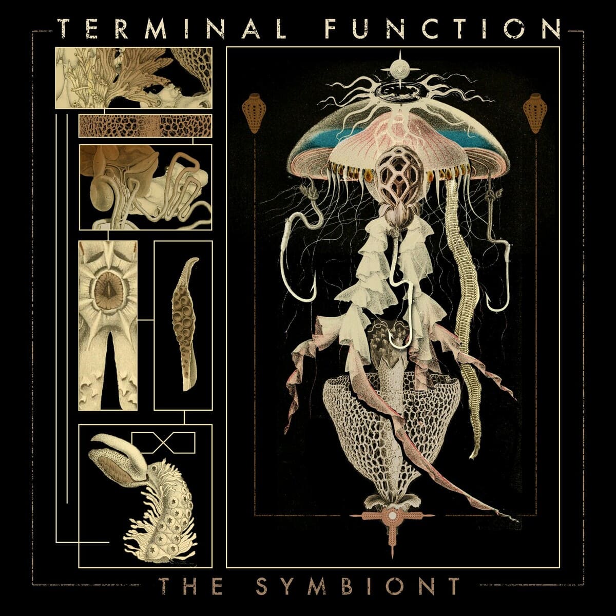 pregonermetall's tweet photo. TERMINAL FUNCTION (Suècia) presenta nou àlbum: "The Symbiont" @termfunc #TerminalFunction #TechnicalDeathMetal #Djent #Juny2024 #Suècia #NouÀlbum #Metall #Metal #MúsicaMetal #MetalMusic https://t.co/y6Cg6CmBqw