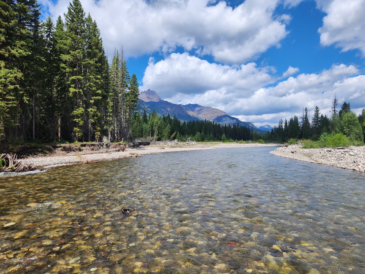 smore4672's tweet photo. @emily_fri @StephenKing How will you go fishing with me and Bensadoun in Wyoming? @emily_fri https://t.co/HVJ2AsF52T