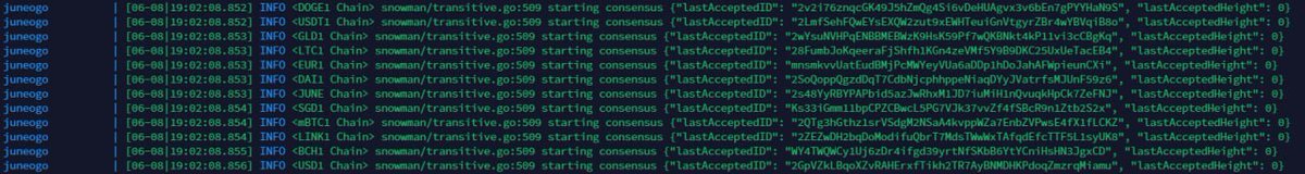 Today marks a monumental milestone – the launch of Juneo's technical mainnet!

We are launching with 12 interoperable chains, the result of countless hours of development. It's the first breath of a new decentralized internet layer.

🔒 Dev Access
This technical mainnet isn't