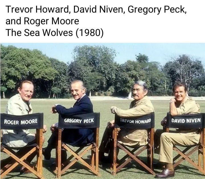 inthestair333's tweet image. Here they are, all the lads. #theseawolves