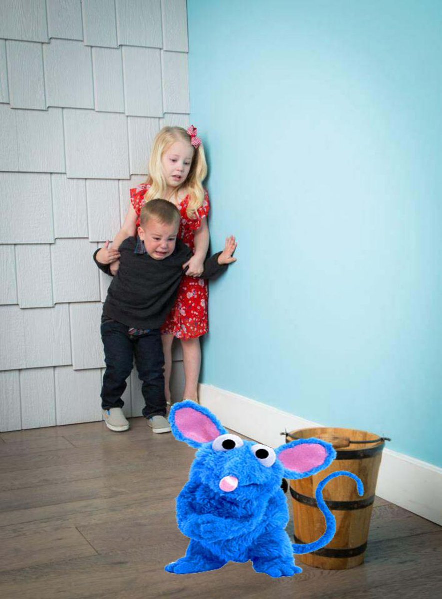tuttercoin's tweet photo. @alexfinn The most memeable mouse on the internet is here 🐭🔵

CA $TUTTER: 0x4744767b43b62207dc343c5b540f0aef54e31f94 https://t.co/w9kQP1pvrr