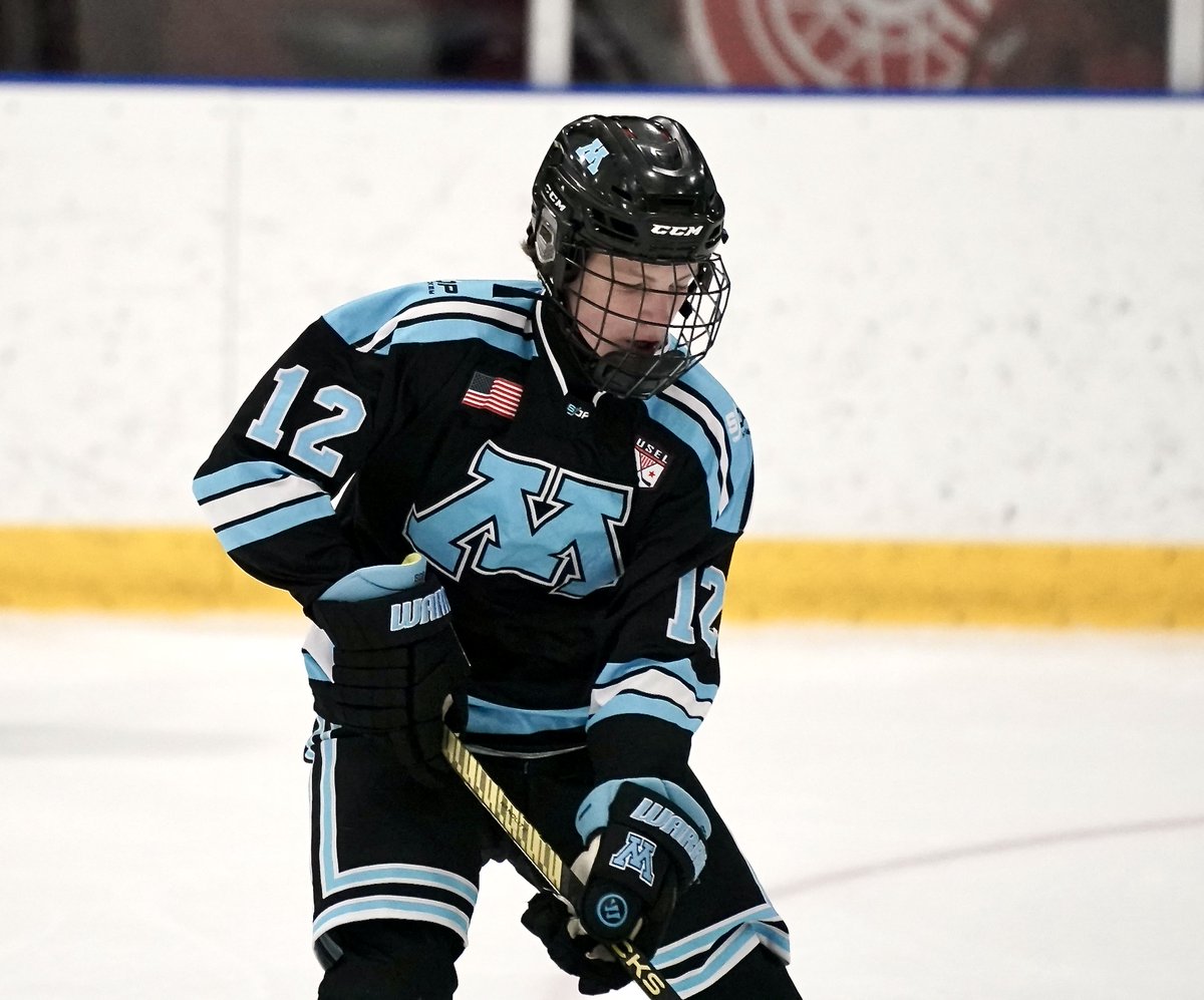 USEL Detroit 
2010 

SDP > NSHDA (6-1) 

SDP: Maleport (2), Olek, Knox, McKinnon, Johnson 
NSHDA: Wise