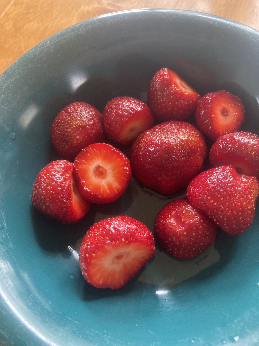 robinposs's tweet photo. Strawberry season is officially underway at Austin’s Pick Your Own. 🍓 

After buying southern berries all winter, you almost forget what a fresh local berry tastes like. 😋 https://t.co/fWtKz82vNr