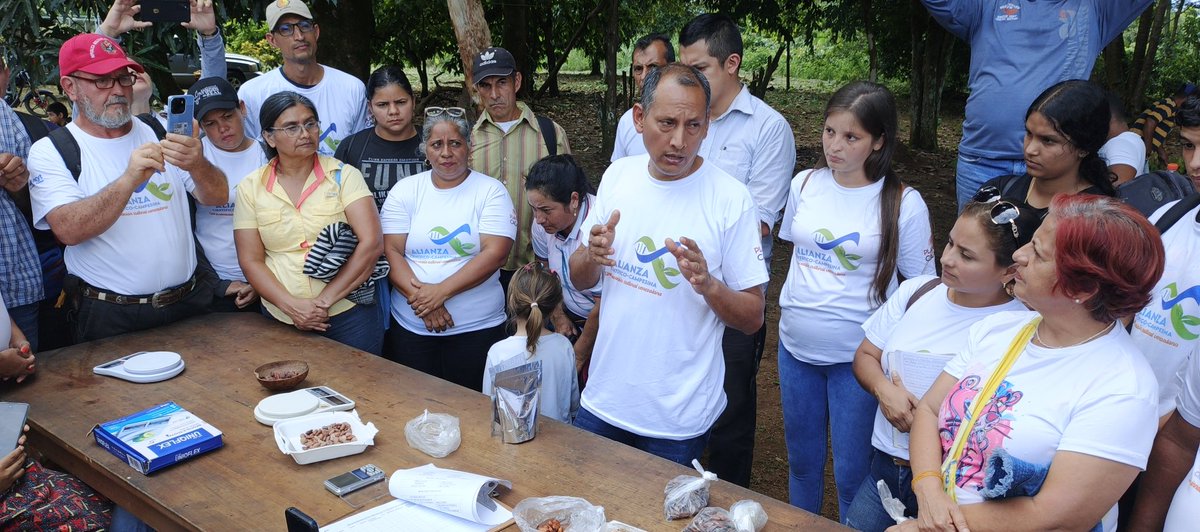 #8Jun | #EnDesarrollo Segunda fase del Taller teórico-practico de Cosecha y Postcosecha del rubro Cacao. 

Desarrollando la práctica del protocolo de control de calidad, como peso de semilla, índice de semilla y determinación de la calidad en grano del rubro Cacao.

#SíVaNico