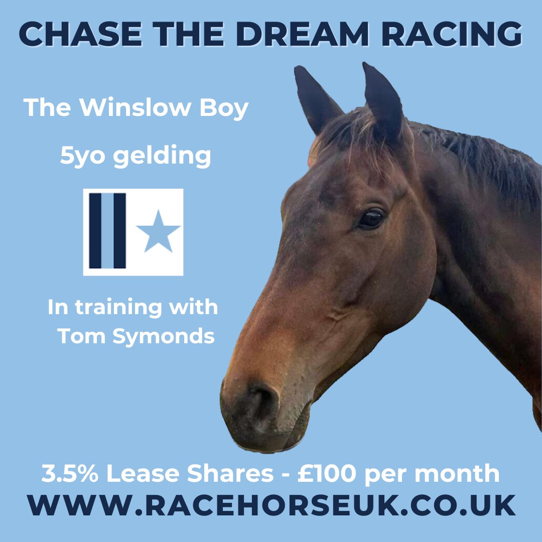 Racehorse_UK's tweet image. Don't miss your chance to join the action with The Winslow Boy This promising 5yo gelding, owned by @_ctdracing  and trained by @symondsracing, is a well-bred hurdler ready for an exciting season. Get involved today! 🏇🌟racehorseuk.co.uk/horse-detail/?… #racehorsesyndicate #horseracing