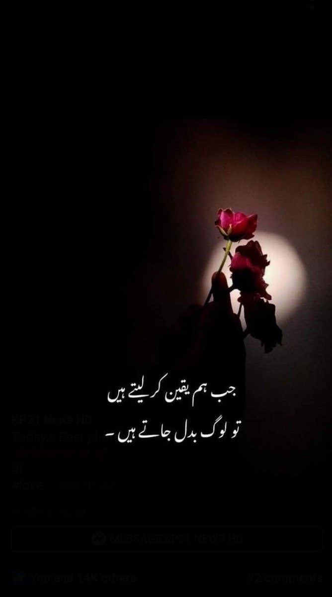 Aoa
Goodnight 😴😴😴❤️