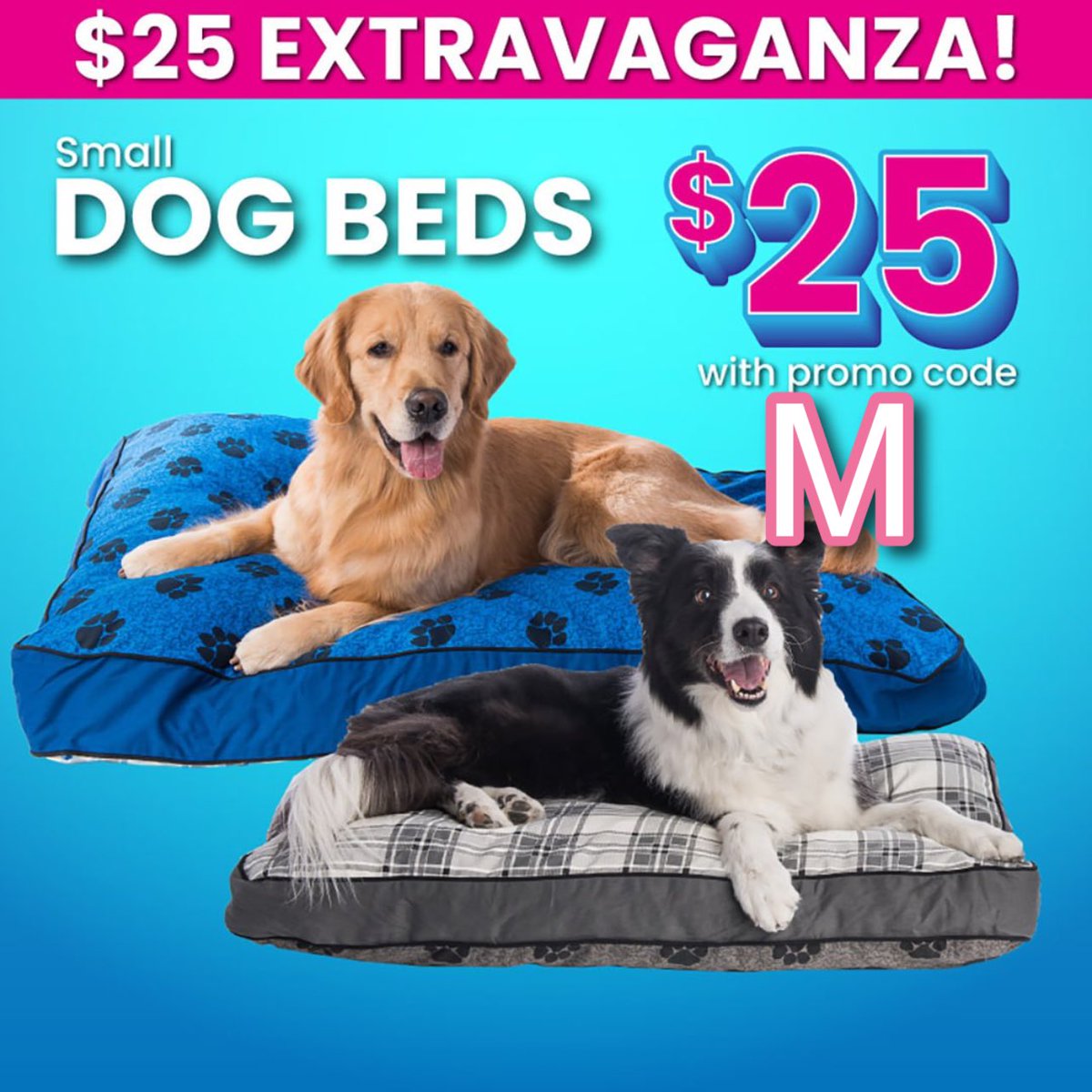 bfraser747's tweet image. Give your furry friend the best sleep of their life with MyPillow Dog Beds! Now on sale for as low as $25 with promo code 👉M👈. Pamper your pup with the ultimate comfort and support. #DogBed #PetComfort #MyPillow mypillow.com/mypillow-for-p…
#MyPillowPromoCodeM