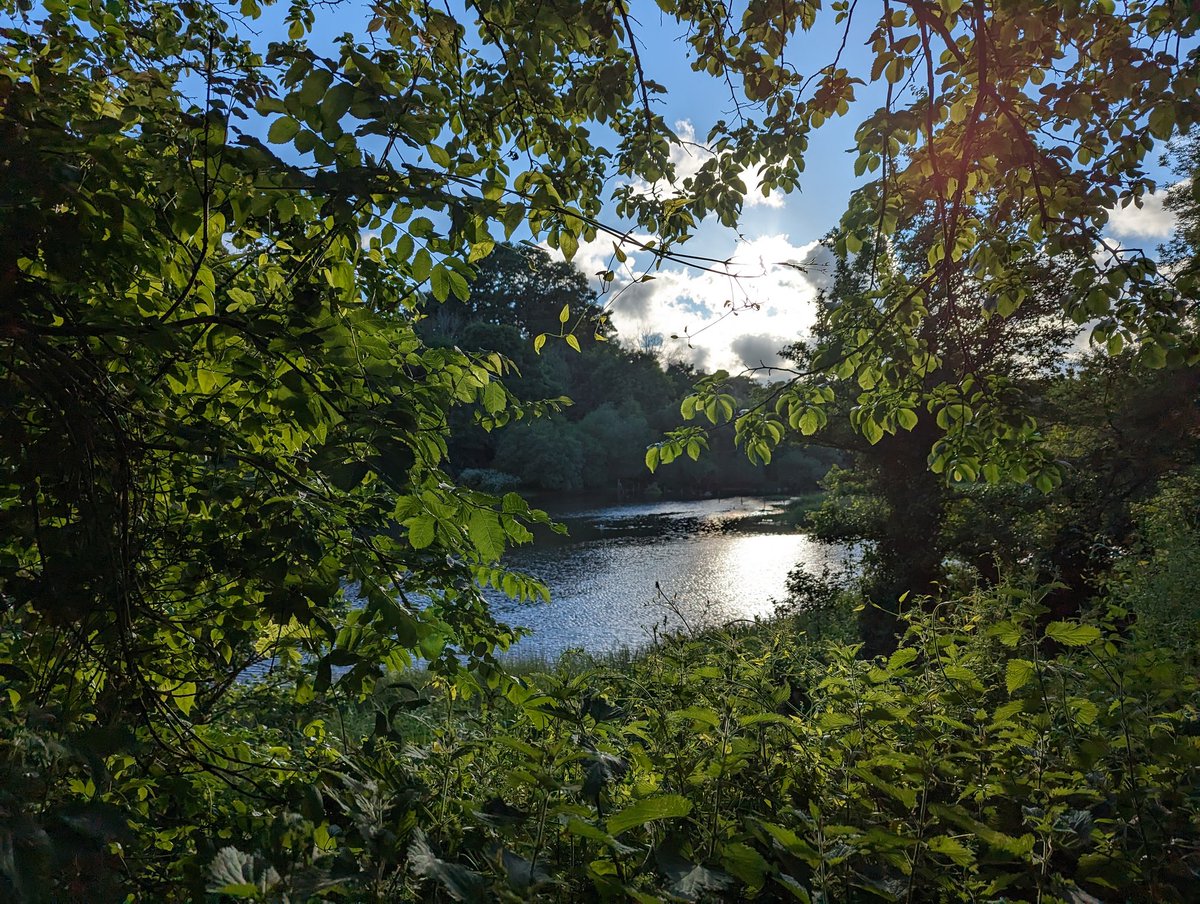 Cornwall is just simply mind-blowing 😍