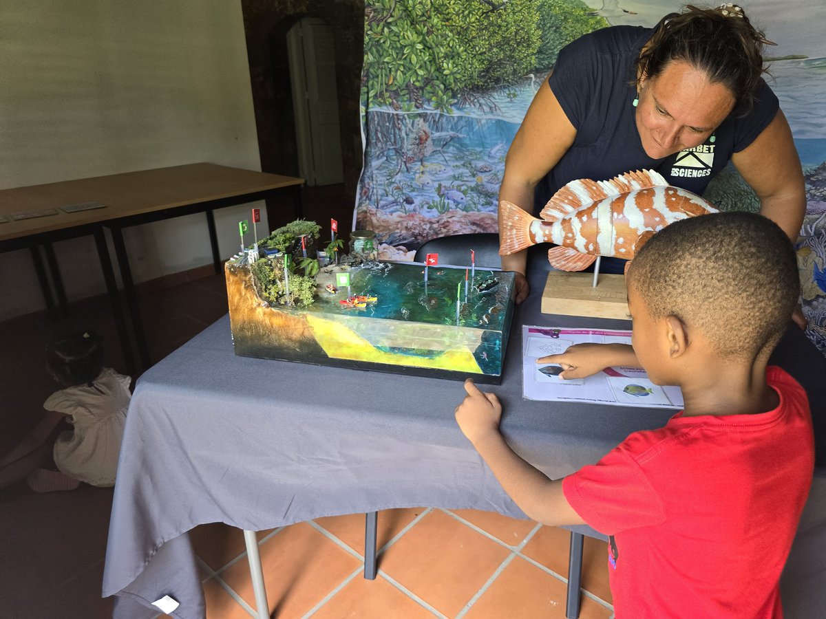 Mon petit curieux, totalement absorbé par le stand du Carbet des Sciences ! 🌊🔬  Nouvelle passion 🤓: les 🐙...😏 🌟🔍 #JournéeDesOcéans <a href="/CarbetDSciences/">Carbet des Sciences</a> #SciencePourTous