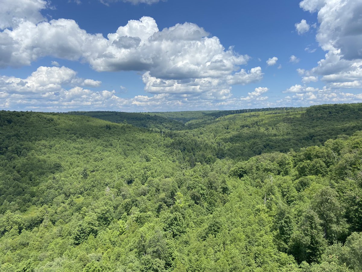 I see it everywhere <a href="/twicrates/">twicrates 5’8.375</a> 

Bullish signal