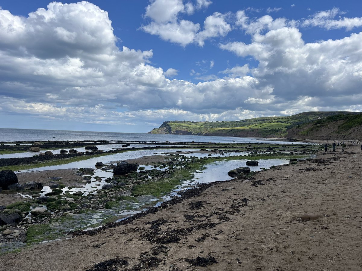 Mark Watson tweet media