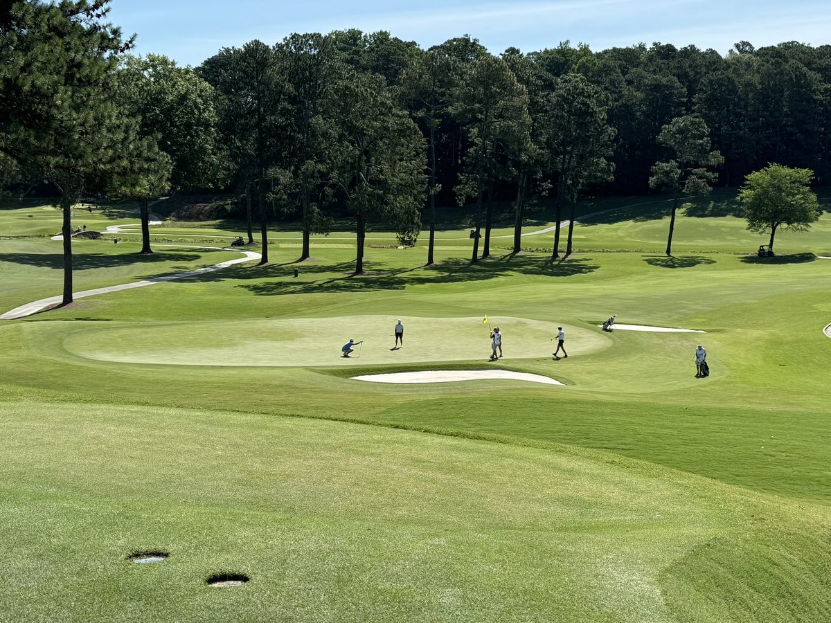 Joe Hollis tweet media