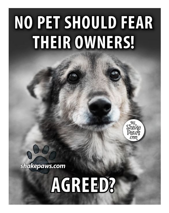 Pawzazzle's tweet photo. Totally agree with this! https://t.co/IlI2HkvkBa