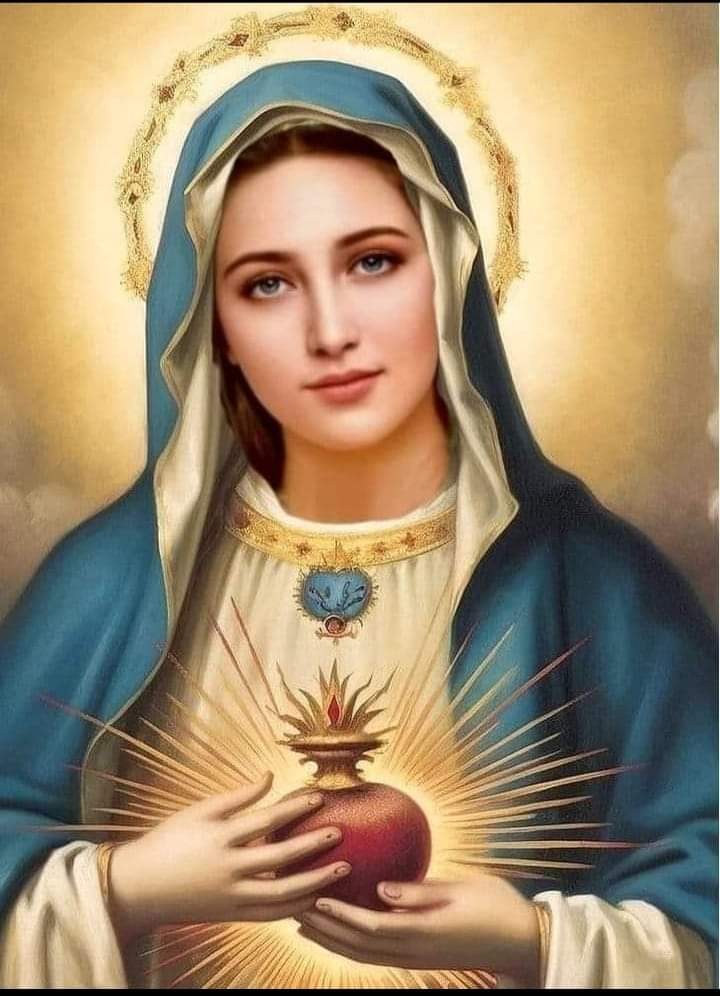 MADONNA SANTISSIMA AIUTACI TU ❤️ ❤️ ❤️  BUONGIORNO A TUTTI VOI SPERANDO SEMPRE NELLA PACE 🙏🙏🙏