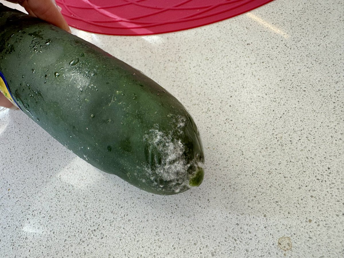 Seema Patel tweet media