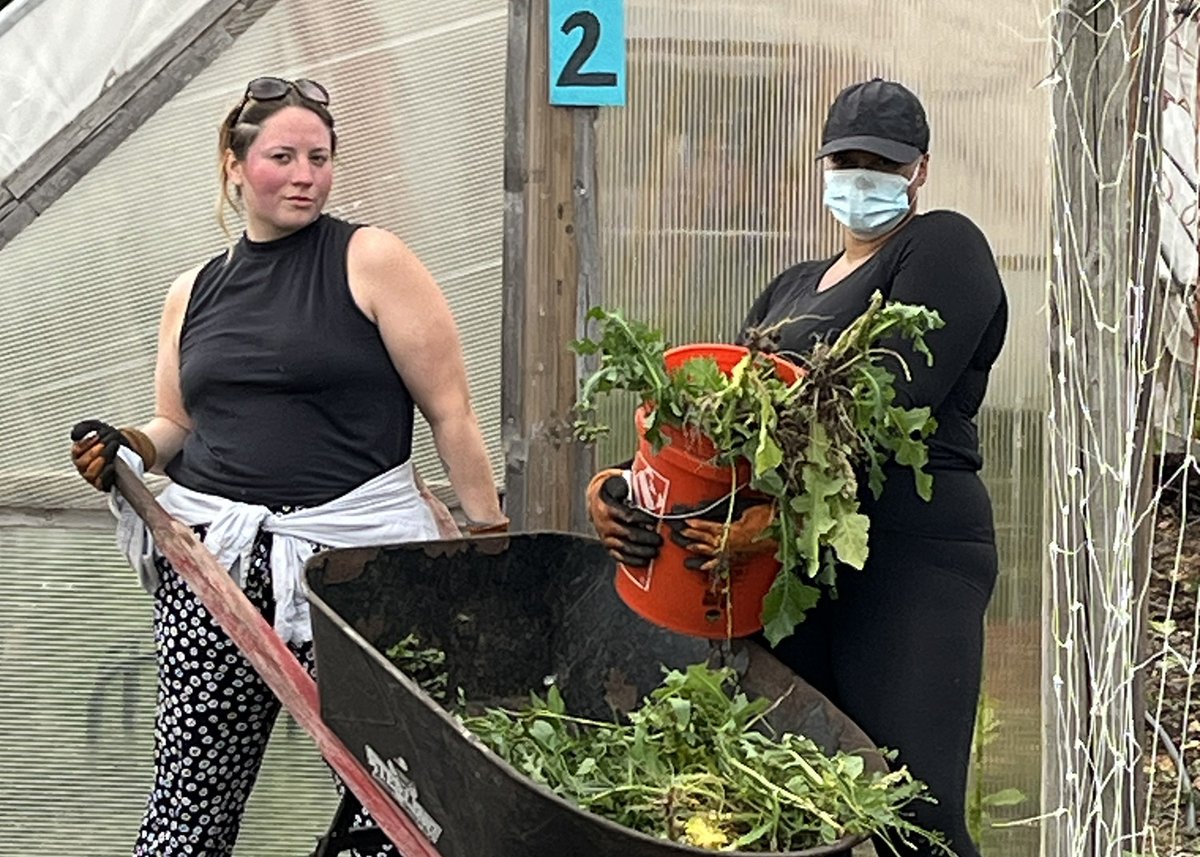 TimeLine Theatre tweet media