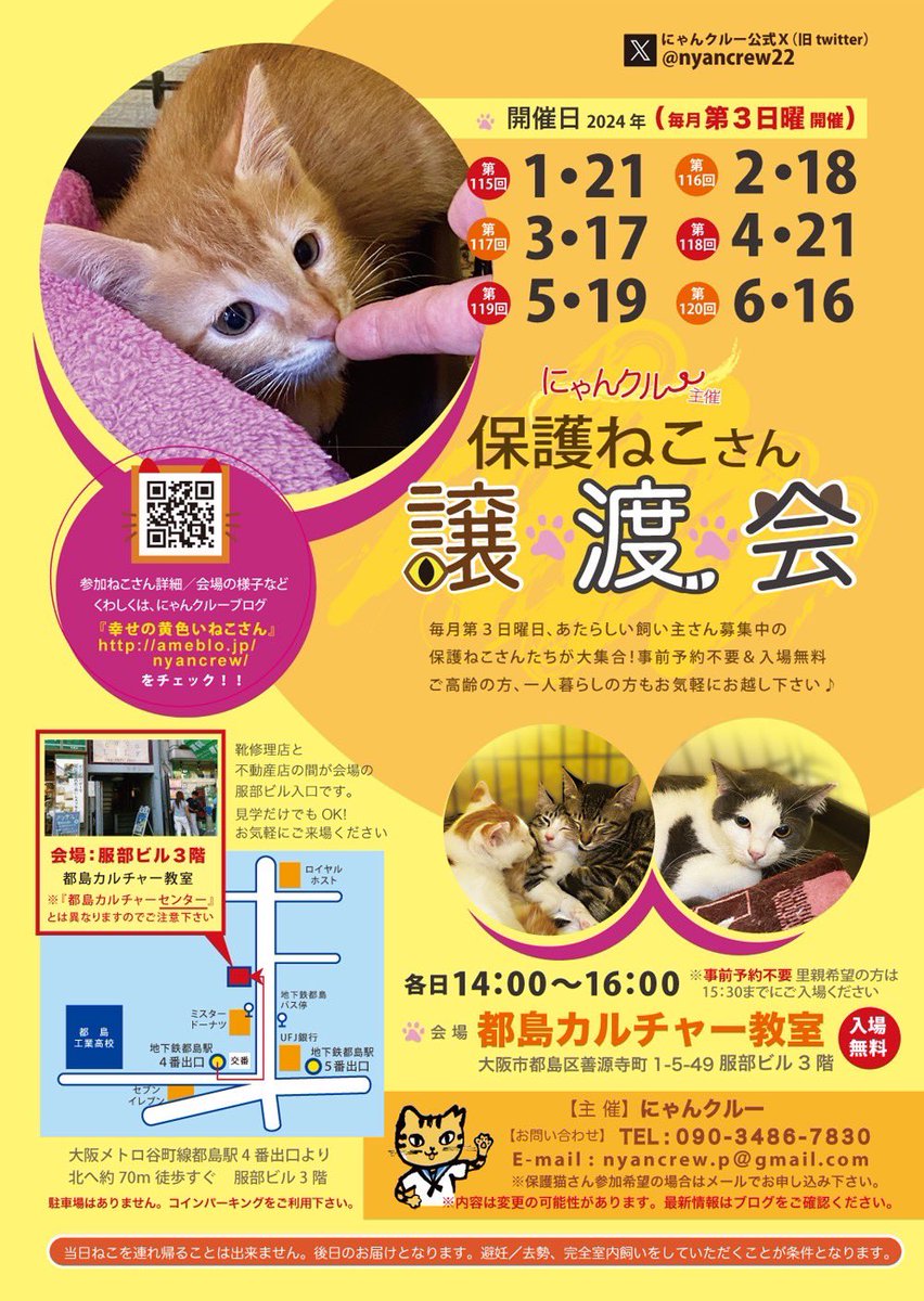 nyancrew22's tweet image. 来週日曜日に迫りました、にゃんクルー譲渡会。参加お申し込みはチラシをご覧ください。美人ちゃんは参加できません、悪しからず。
#保護猫　#保護ねこ　#譲渡会　#にゃんクルー