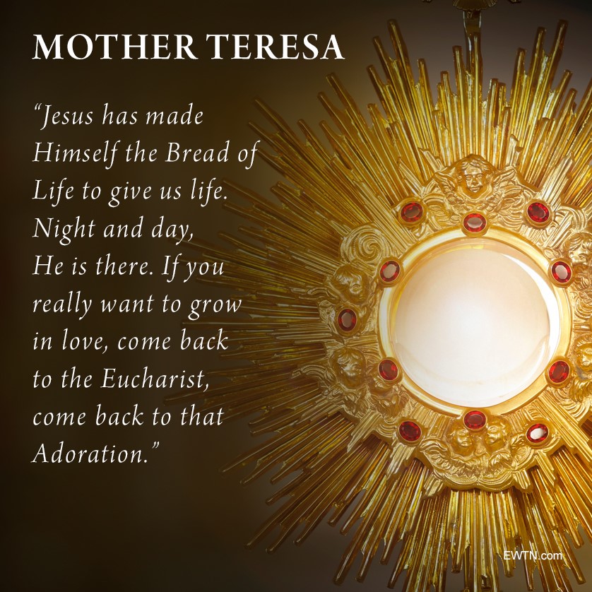 "Come back to the Eucharist."

bit.ly/EWTNEucharist