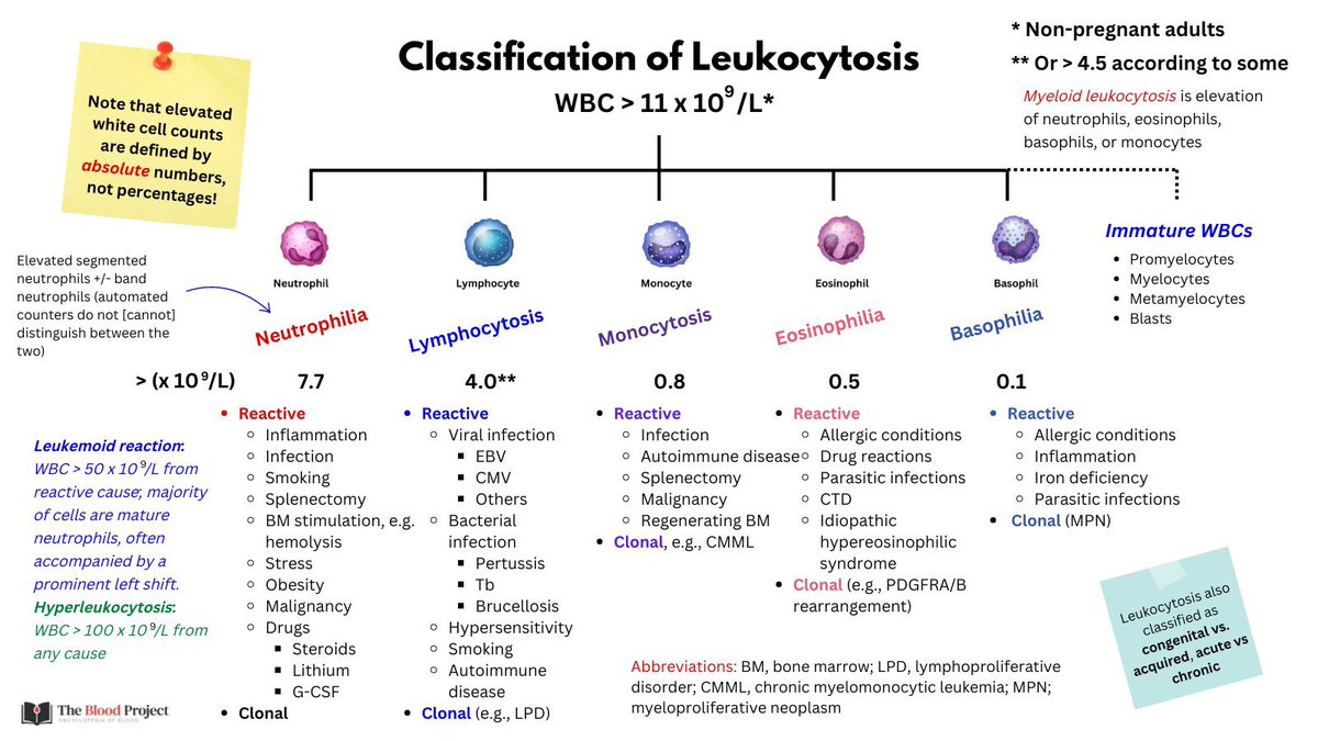 drjcnavarro's tweet photo. Clasificación de los #Leucocitos https://t.co/0aJH8iXyL0