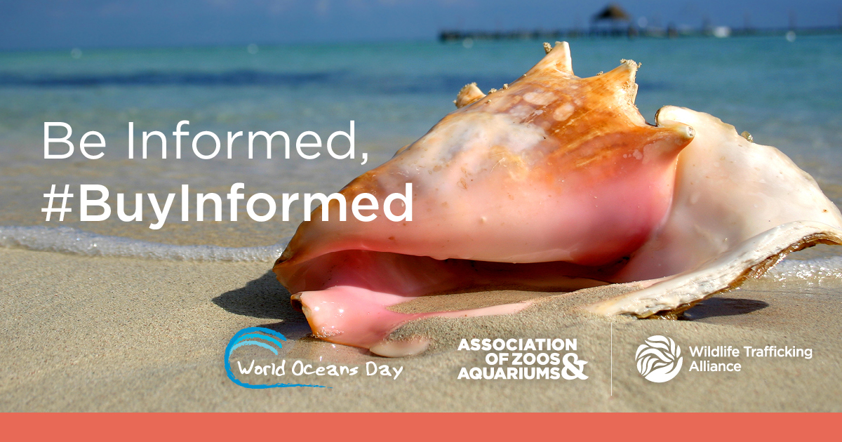 Wildlife Trafficking Alliance tweet media