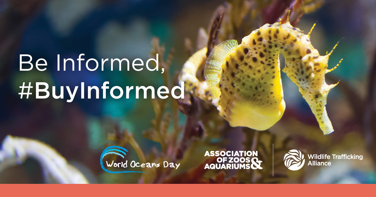 Wildlife Trafficking Alliance tweet media