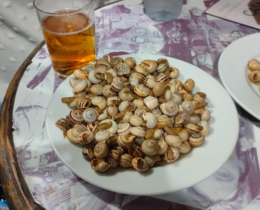 En Triana, el bar Remesal es siempre un seguro de vida para deleitarnos con unos ricos 🐌🐌🐌 Su sabor y presentación es reconocible y muy particular, aunque no entran en el #Top5 de los #AgentesODCA.

📍 Calle Pureza