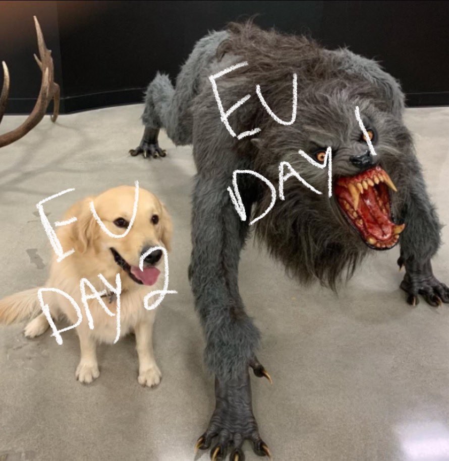 GottaKarchEmAll (@illiterateghoul) on Twitter photo 