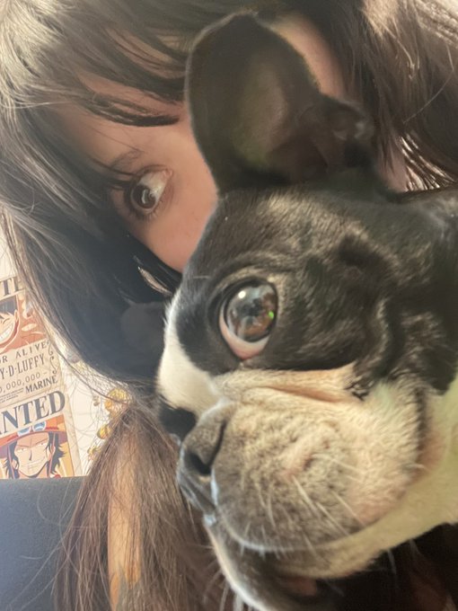 the one piece https://t.co/tJ3ctH2yqD