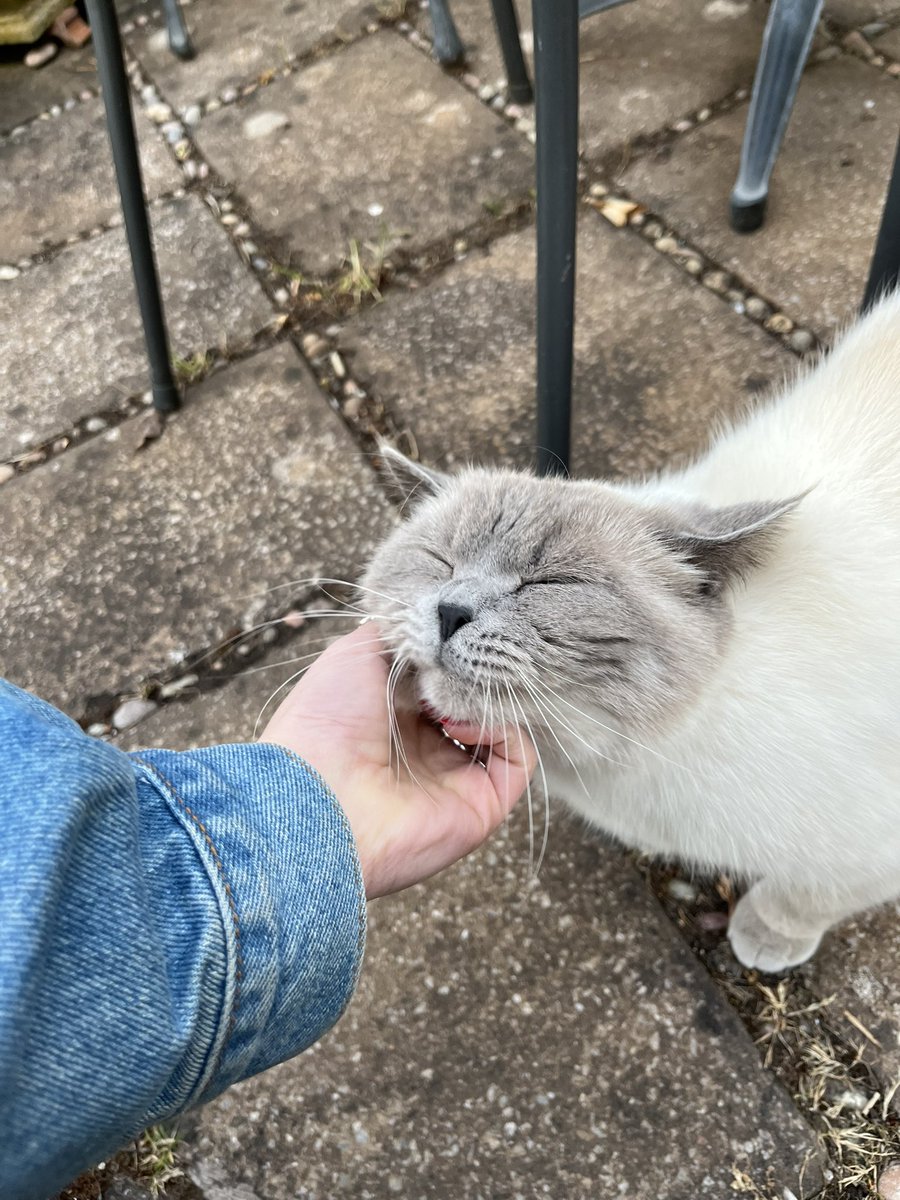 Made a new friend tonight