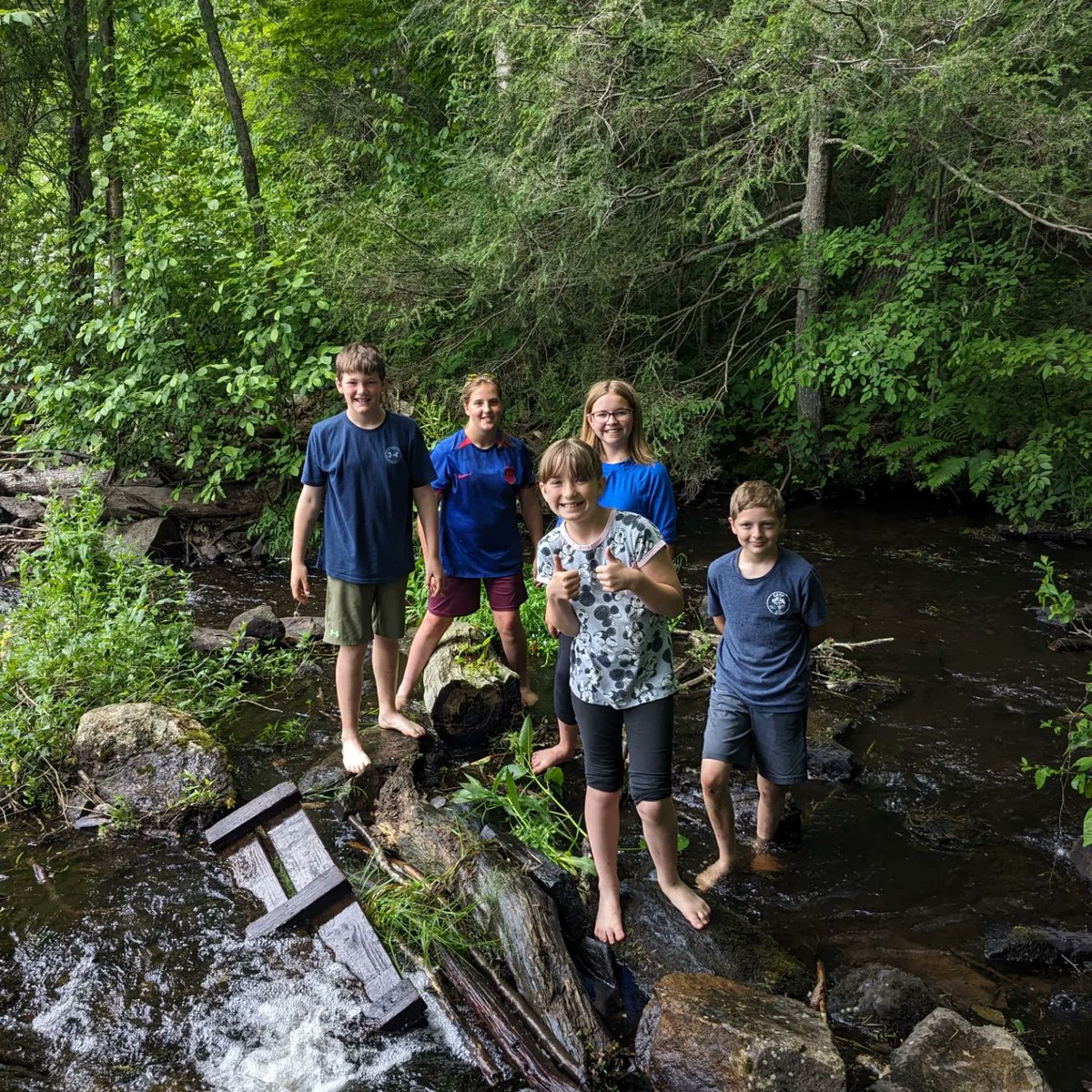 Mrs. Bennett tweet media