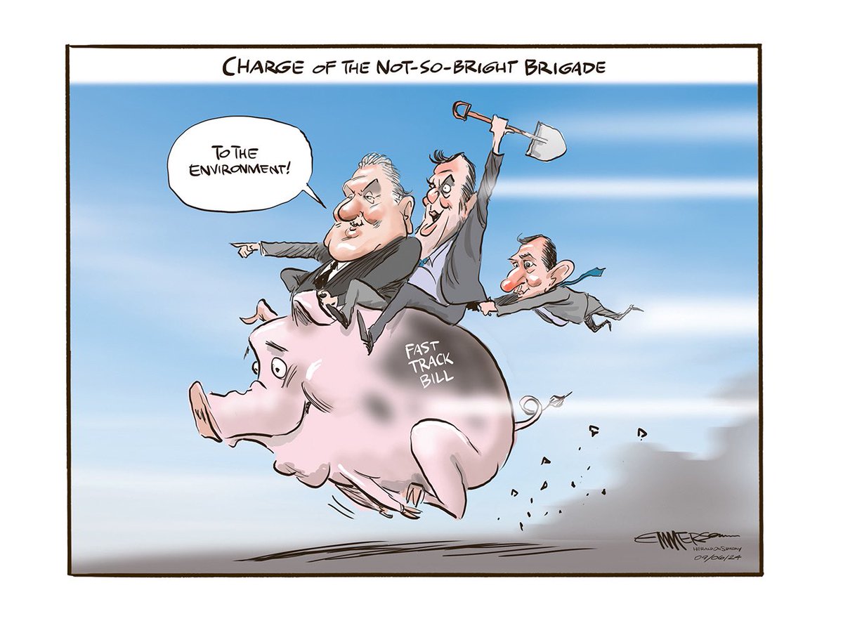 nzherald.co.nz/nz/rod-emmerso…